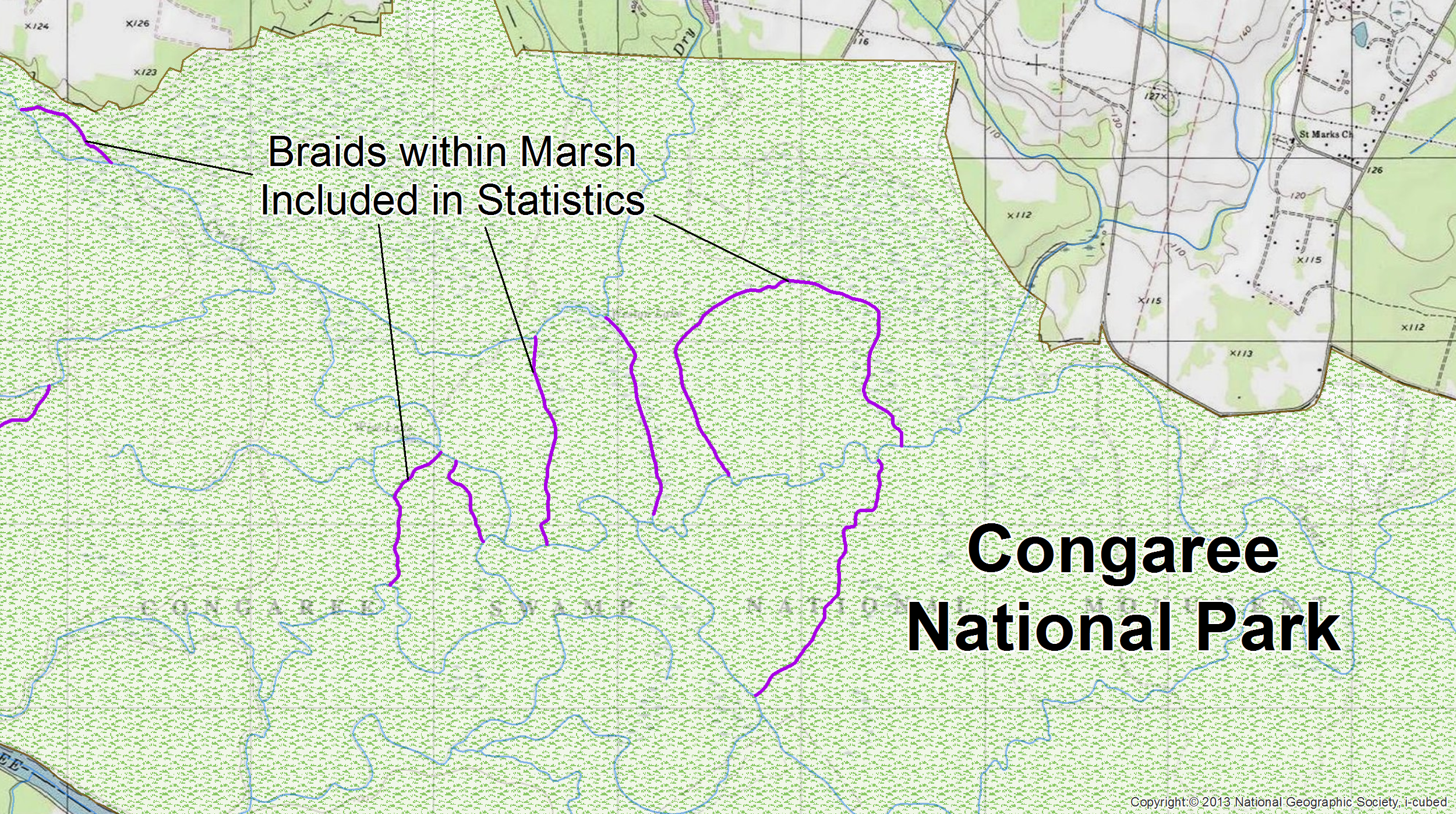 In Congaree National Park, several braids (purple) are distributed throughout the marsh. In these situations, all flowlines were tagged as centerlines and included in the stream statistics.