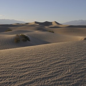 Sand dunes at dawn