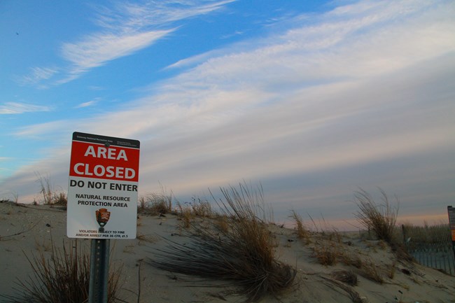 A sign on a sand dune that says "Area Closed, DO NOT ENTER, Natural Resource Protection Area"