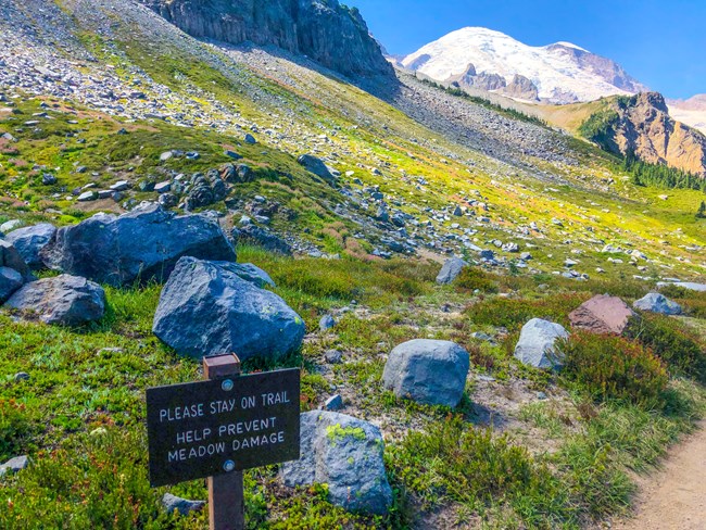 A mountain meadow with sign that says "please stay on trail, help prevent meadow damage."