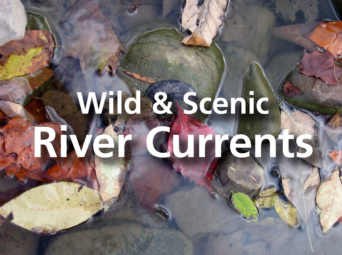 colorful leaves in shallow water with title "Wild & Scenic River Currents"