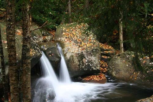Shillalah Falls, KY Two small waterfalls flowing off leaf-covered boulders.