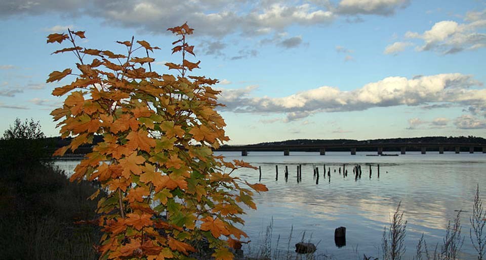 Sky reflecting on the Sheepscot River Blue sky reflecting on the Sheepscot River