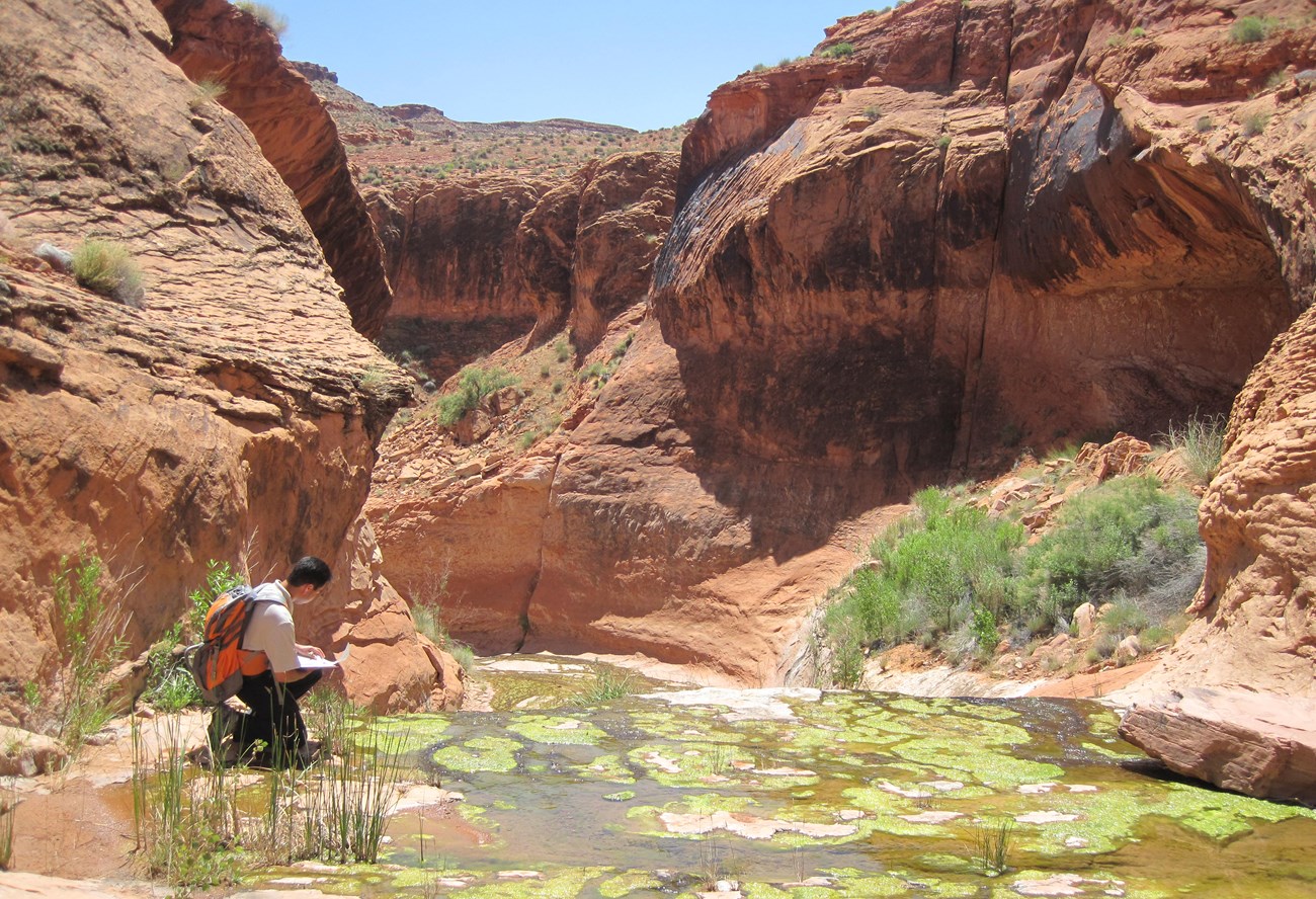 GLCA mosaics in science Michael Fuerte NPS person in small red rock canyon with pools of water
