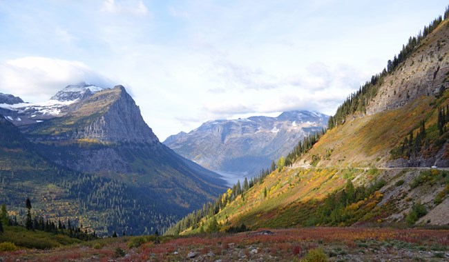 View from Going to the Sun Road. A small section of the road with cars is visible on right side of the photo. Mountain peaks with snow and fall colored vegetation are to the left and middle of the photo.