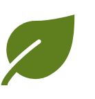 green leaf icon