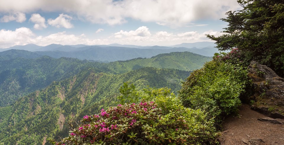 Great Smoky Mountains National Park