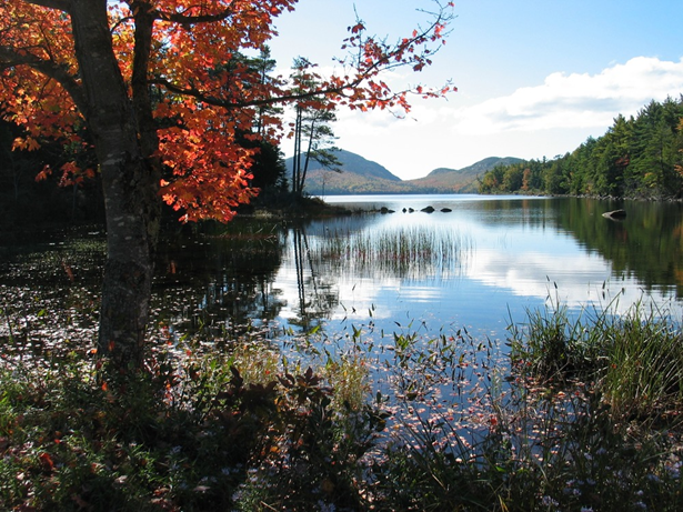 A calm lake reflects clouds in a blue sky. A tree with orange leaves sits on the shoreline, and thick, mostly coniferous trees line the shoreline extending to a background of mountains.