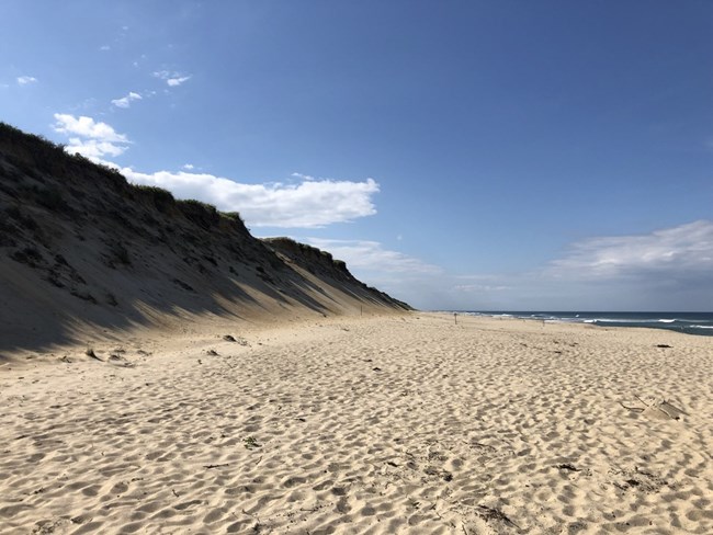 A sandy beach extends to the horizon and is flanked by ocean on one side and sandy, vegetated bluffs on the other. A blue sky is bordered by a bank of clouds in the distance.