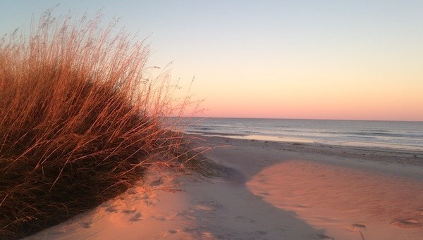 Orange sunset lights the beachgrasses and sand. Orange sunset lights the beachgrasses and sand.