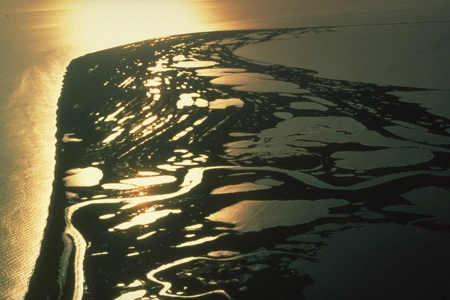 Beach ridges show up well as concentric curved lines in the light of the summer sun. Arctic Ocean is on the left, Krusenstern Lagoon on the right. Low angle sunlight makes numerous wetlands and beach ridges glow in an aerial image of a coastline.