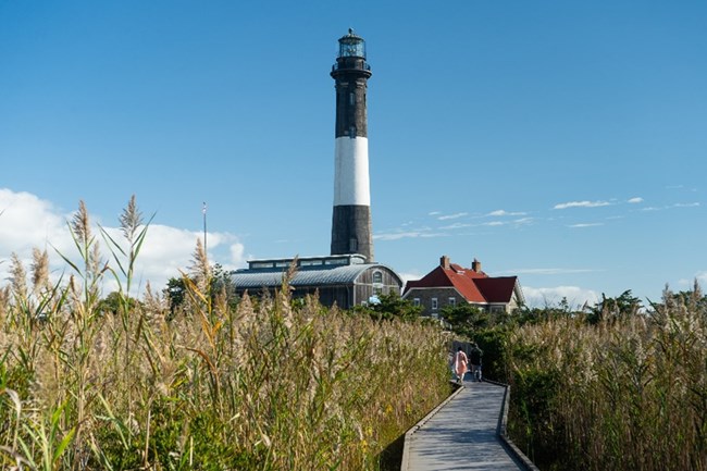 Two figures walk on a boardwalk towards a lighthouse among high vegetation.