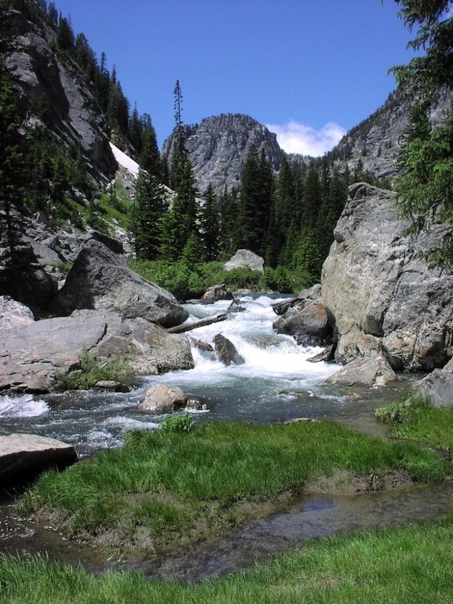 A creek rushes over boulders as it makes its way down a canyon. Steep canyon walls flank the sides of the creek. Lush green grass borders the creek, evergreen trees climb the canyon walls, and a blue sky encompasses the top of canyon.