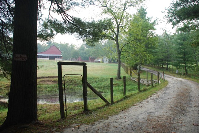 Dirt road and fence leading to a historic farmstead in the woods