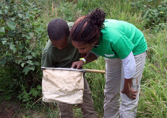 Parent and child looking together at the contents of a dipnet.