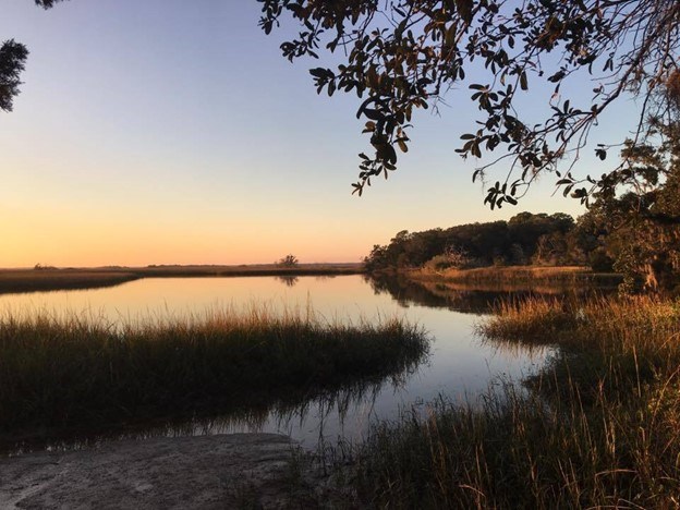Sunset on the south end of Fort George Island. Pond surrounded by tall grasses and trees. Sunset on the south end of Fort George Island. Pond surrounded by tall grasses and trees.