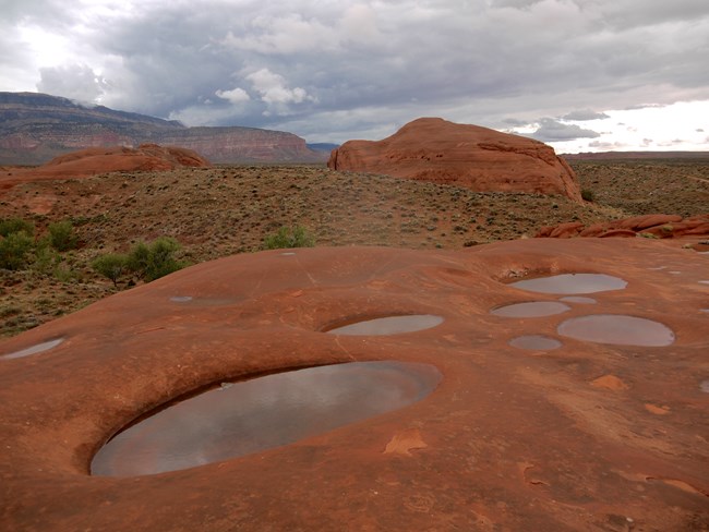 Small pools of water filling holes eroded in red-orange sandstone