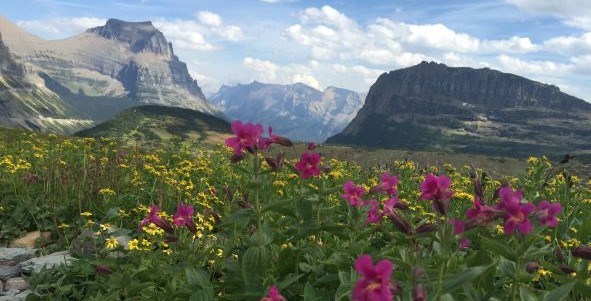 Vibrant flowers grow in the foreground while granite mountains arise from the background among a sky with some clouds.