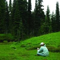 lt= Woman sitting on grass listening, with large pine trees in the background.