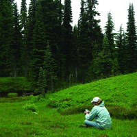 Woman sitting on grass listening, with large pine trees in the background.