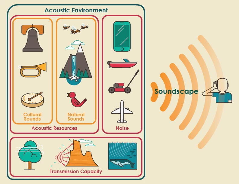 AcousticInfographic Infographic describing acoustic terms and how they interact in a park environment
