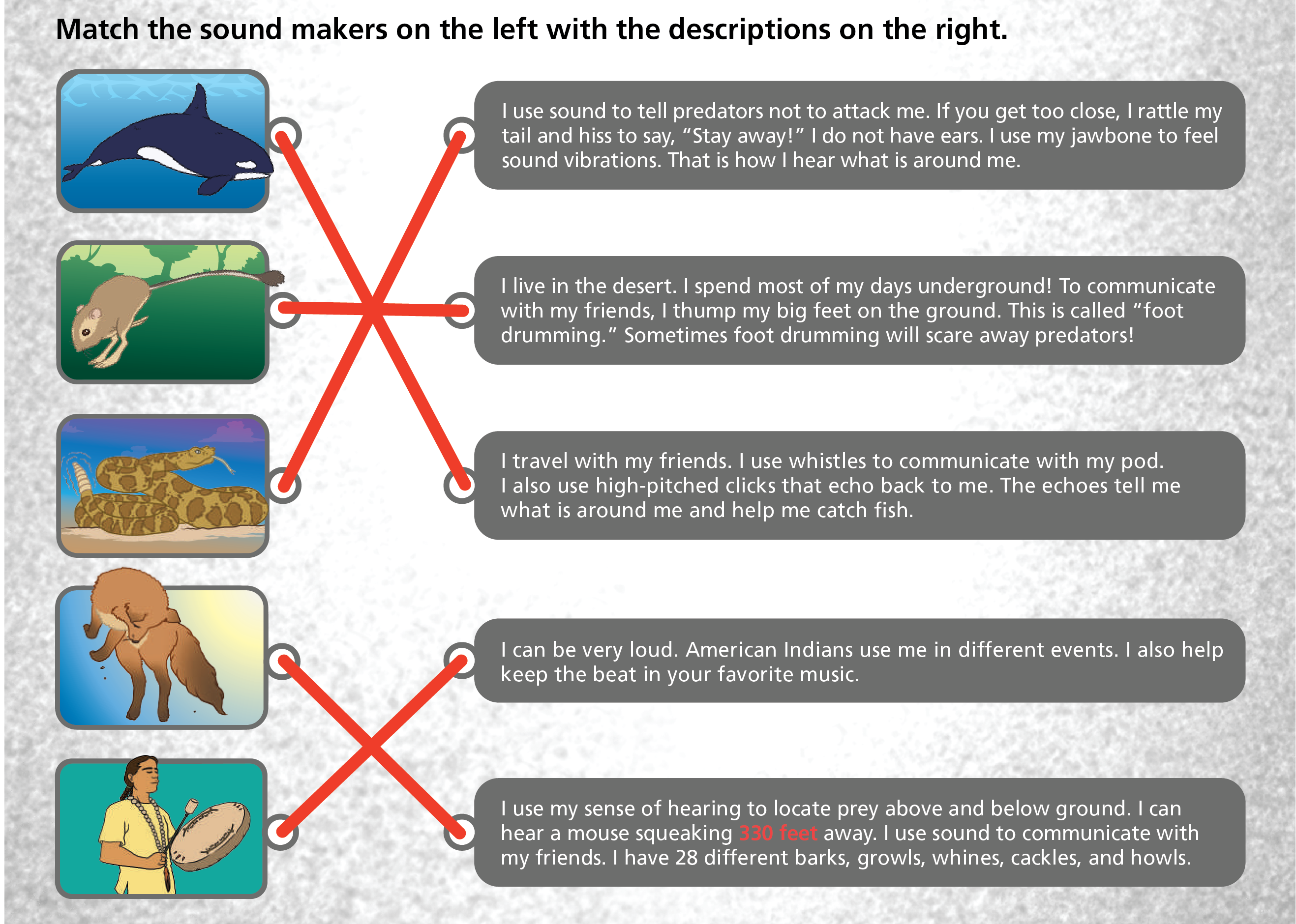 a graphic of a game where you have to match a picture of the sound maker with a description of the sound they make.