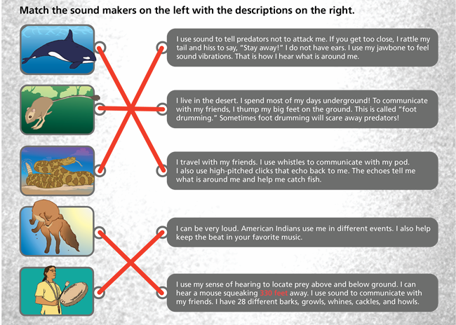 a graphic of a game where you have to match a picture of the sound maker with a description of the sound they make.