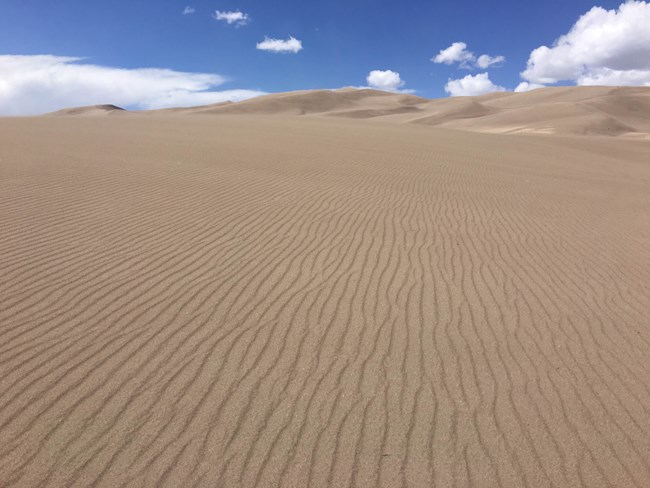 Rippled patterns play upon the surface of sand dunes at Great Sand Dunes National Park and Preserve.