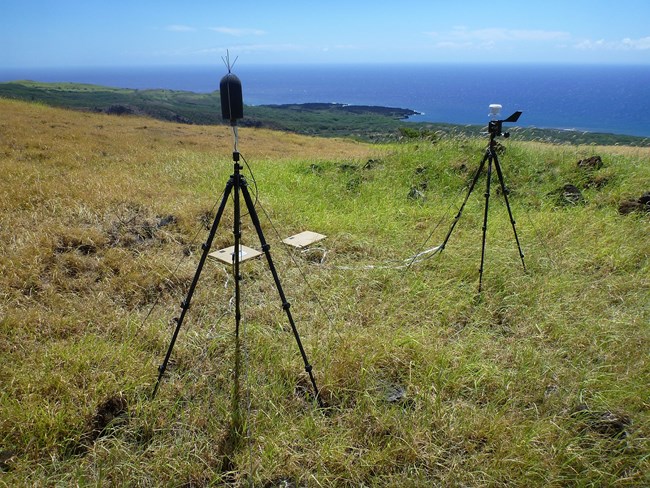 Acoustic monitoring station in Haleakala National Park