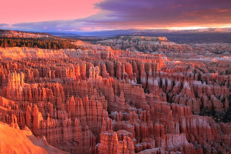 Morning breaks across the hoodoo formations and canyon at "The Amphitheater" at Bryce Canyon NP.