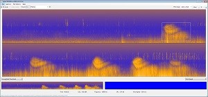 Sound Pressure Levels Small Image