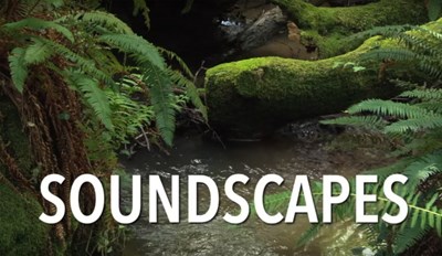 Opening title Soundscapes, Part 1
