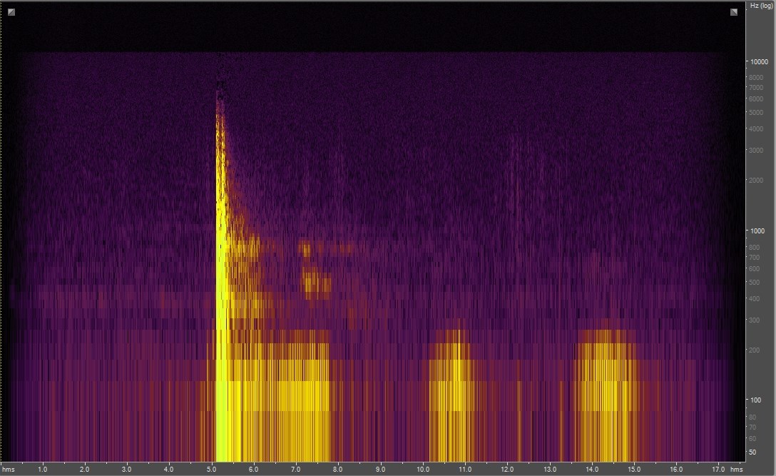 Spectrogram of bighorn sheep ramming heads
