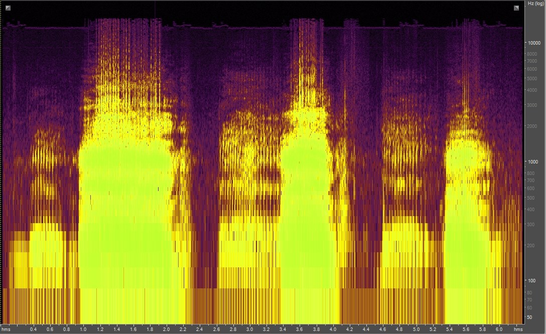 Spectrogram of bison