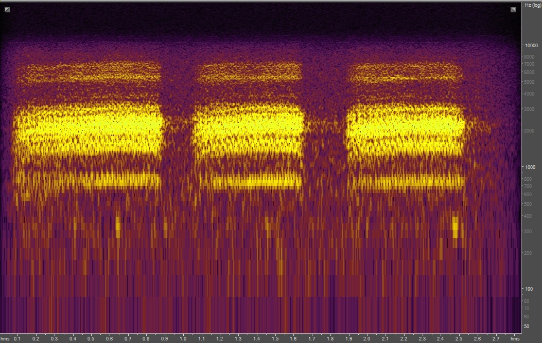 Spectrogram of Clark's Nutcracker