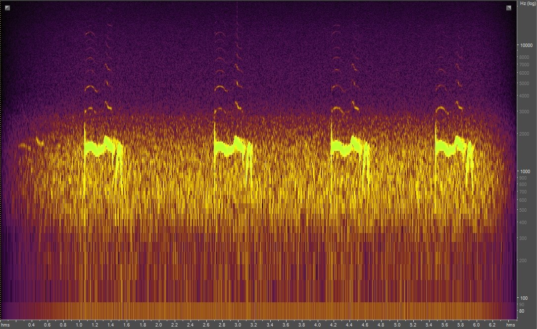 Spectrogram of Common Poorwill