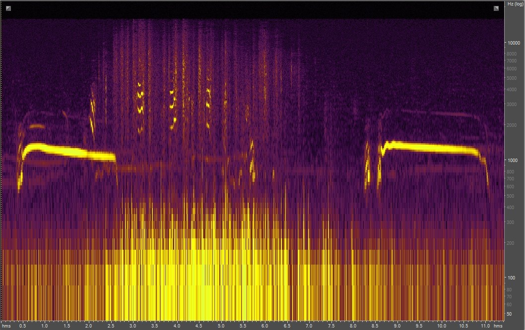 Spectrogram of coyote chase
