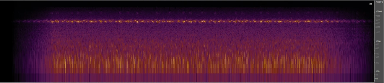 Cricket Spectrogram Sound Gallery - Crickets - Natural Sounds (U.S. National Park Service)