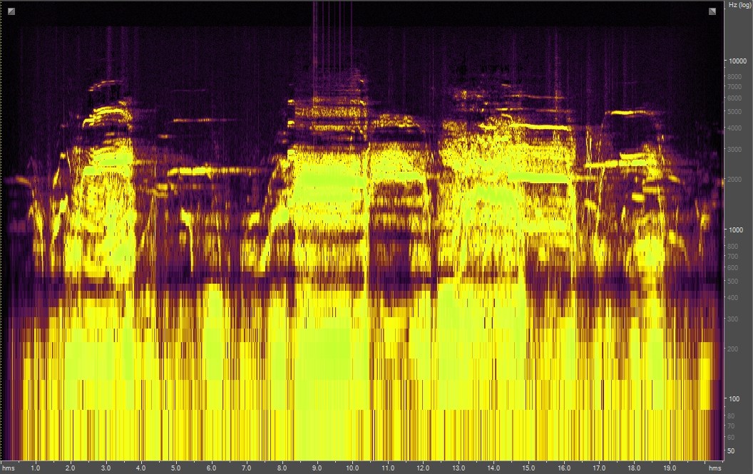 Spectrogram of bugling elk