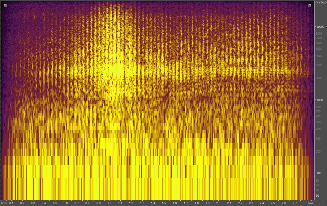 Spectrogram of a grasshopper