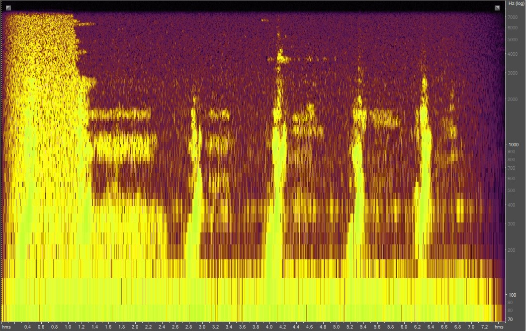 Spectrogram of a humpback whale