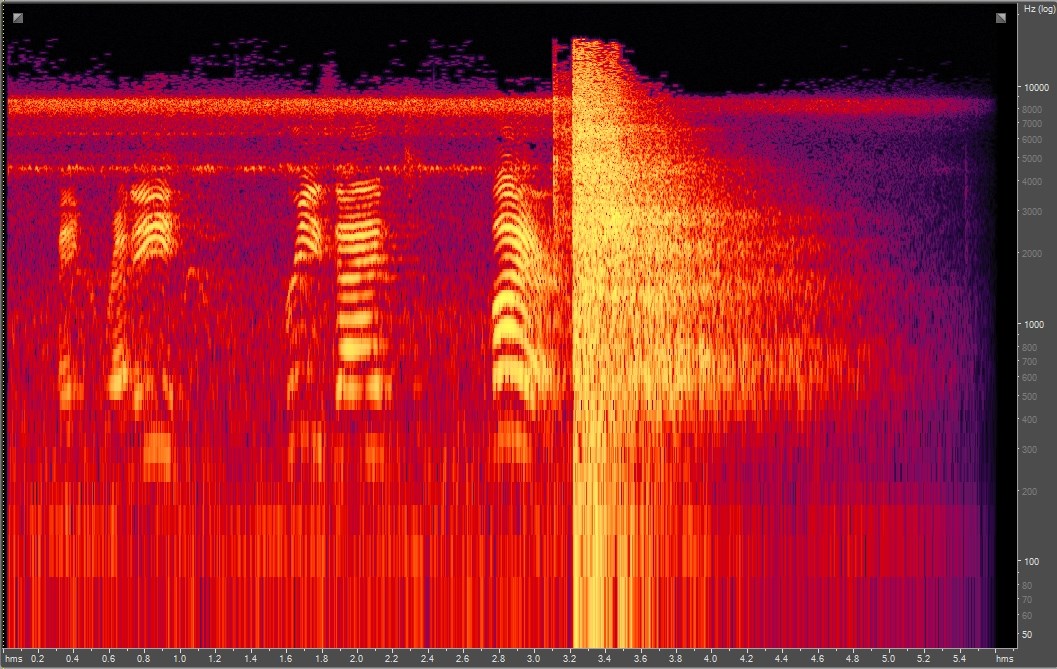 Spectrogram of musket fire
