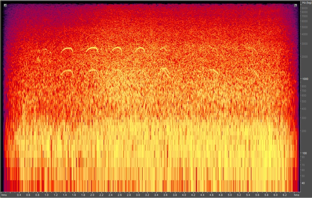 Spectrogram of ocean