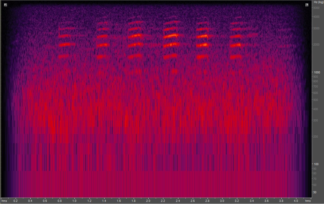 Spectrogram of red-breasted nuthatch