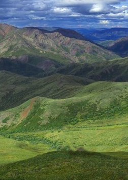 A vivid, blue sky frames this sweeping view of undulating, green mountains and valleys.