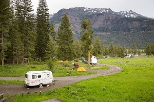 Yellowstone_Camping at Pebble Creek Campground