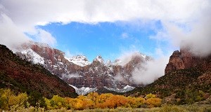 Fall colors in Oak Creek, Zion National Park. 300x162NPS Photo Cadence C. Cook
