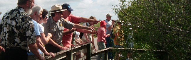 Ranger Programs led at Anhinga Trail