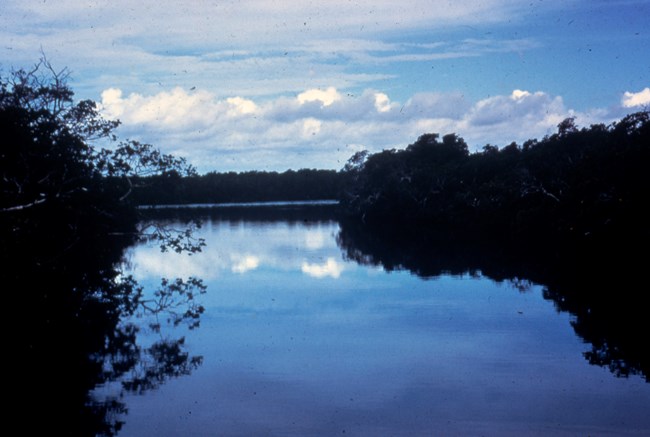 Biscayne river at Biscayne National Park Biscayne river at Biscayne National Park