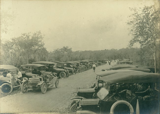 Numerous of parked car for the celebration of Royal Palm State Park